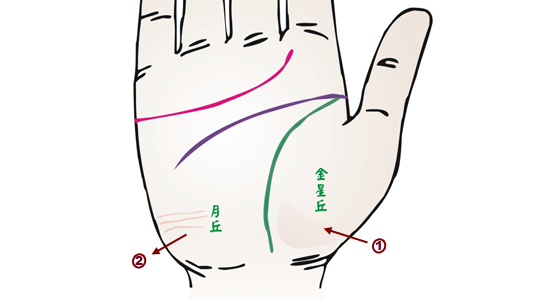 掌紋分析：腎病掌徵